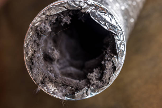 Best Home Air Vent Cleaning  in Olmos Park, TX